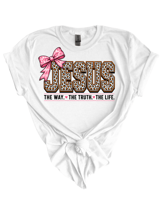 Jesus Is The Way HTV Transfer